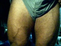 8_5legs.jpg