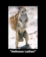 squirrel balls.jpg