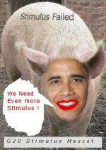 G20pig.jpg