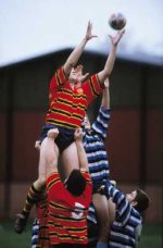 rugbywww.jpg