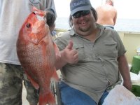 great american snapper.jpg