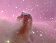 horsehead.jpg