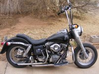 '82 Shovel.jpg
