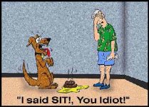 sit not shit.jpg