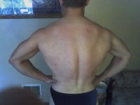back lat.jpg