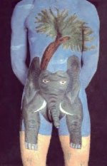 elephant.jpg
