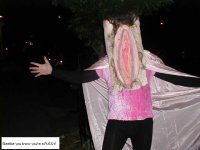 vaginacostume.jpg