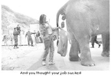 quitcomplainingaboutyourjob41_1.jpg