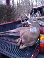 City buck.jpg City buck.jpg