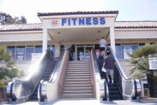 American Fitness.jpg