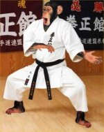 karate-chimp.jpg
