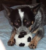 sadie.baby.jpg