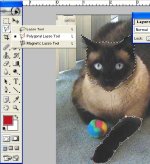 ps2.psd.jpg