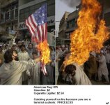 funny-priceless-picture-American-flag-burner-terrorist-catches-fire.jpg