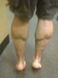 calves 10 12.jpg