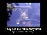 rollindirty.jpg