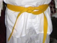 yellow13.jpg