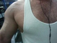 vascularity.jpg