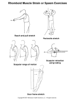 rhomboid exercises.gif