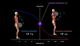 1774829905223.png 1774829905223.png