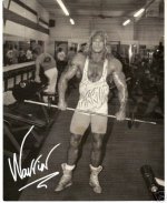 warrior3.jpg