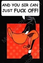 duck.jpg