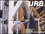 chestdip1af.gif