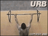 widegripchins2fq.gif