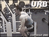 deadlift3fa.gif