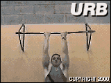 cgchins2tp.gif