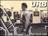 hammercurl3fp.gif