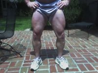 image legs.jpeg