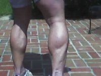 calves.jpg