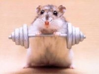 q0mxu2bwmjqp3jc3dygde6nk5n4c5hhm6u8qkadwjrbd0d423a454fhxtazpf62dpytzyukHamsterweight...yeah!!!.jpg