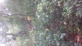 20150418_130441.jpg