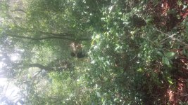20150418_130414.jpg