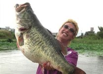 capt.d722a77fd1b7488d889794f4bee58330.largemouth_bass_record_mh101.jpg