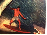 swimming with sharks.jpg