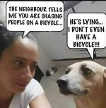 FB_IMG_1709314329937.jpg