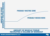 postworkoutprotein_2.jpg