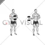 dumbbell-external-rotation.jpg