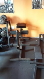 20180830_160609_resized.jpg