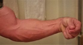 forearm.jpg