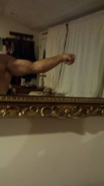 forearm.jpg