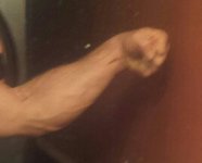 forearm 2.jpg