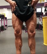 legs2.jpg