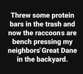 FB_IMG_1666129886681.jpg