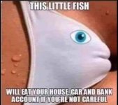 FB_IMG_1669068850376.jpg