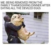 FB_IMG_1669066833367~2.jpg
