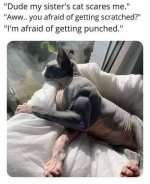FB_IMG_1673996468038.jpg